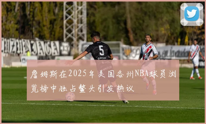 詹姆斯在2025年美国各州NBA球员浏览榜中独占鳌头引发热议