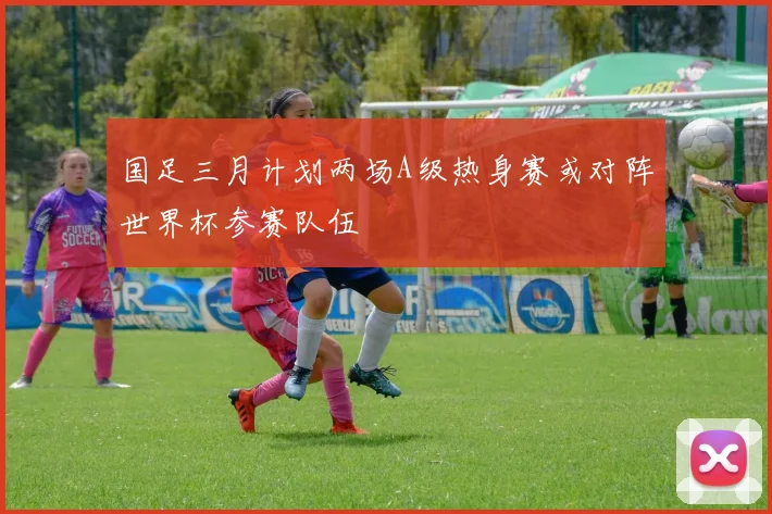 国足三月计划两场A级热身赛或对阵世界杯参赛队伍